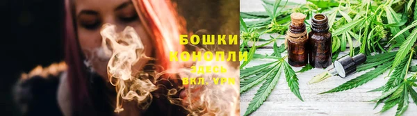 прущие крисы Медвежьегорск